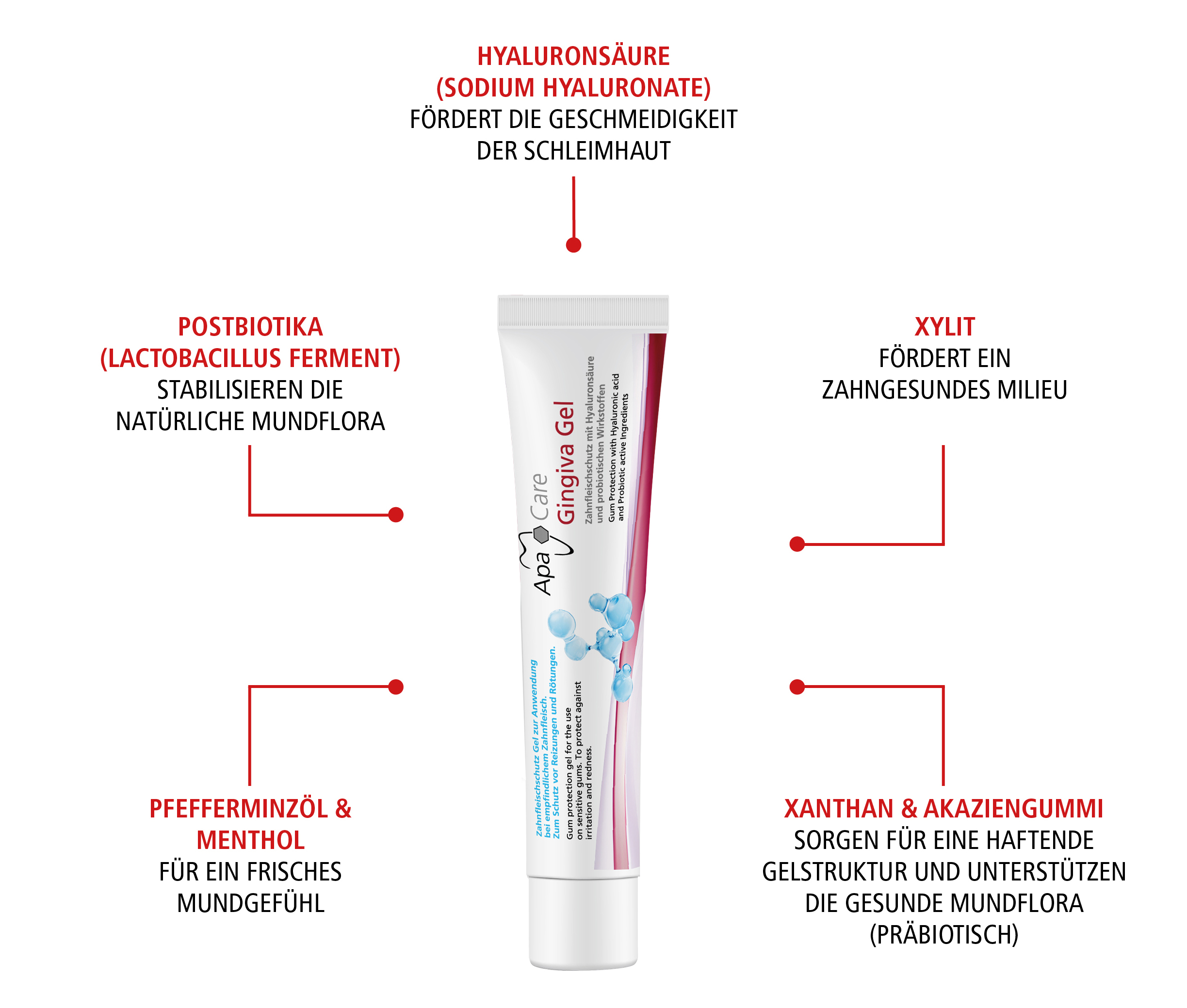Gingiva Gel