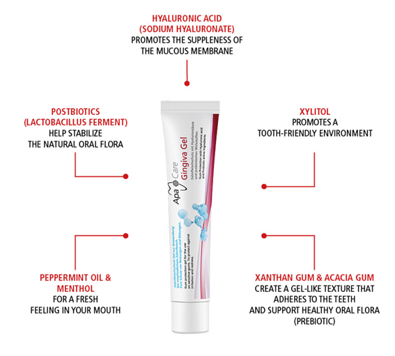 Gingiva Gel Gingiva Gel